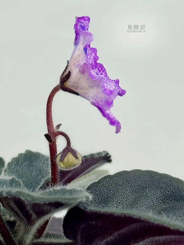 Субботние рабочие моменты