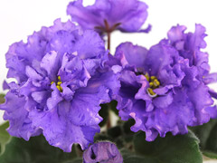 АВ-Небо в Алмазах (771-31)