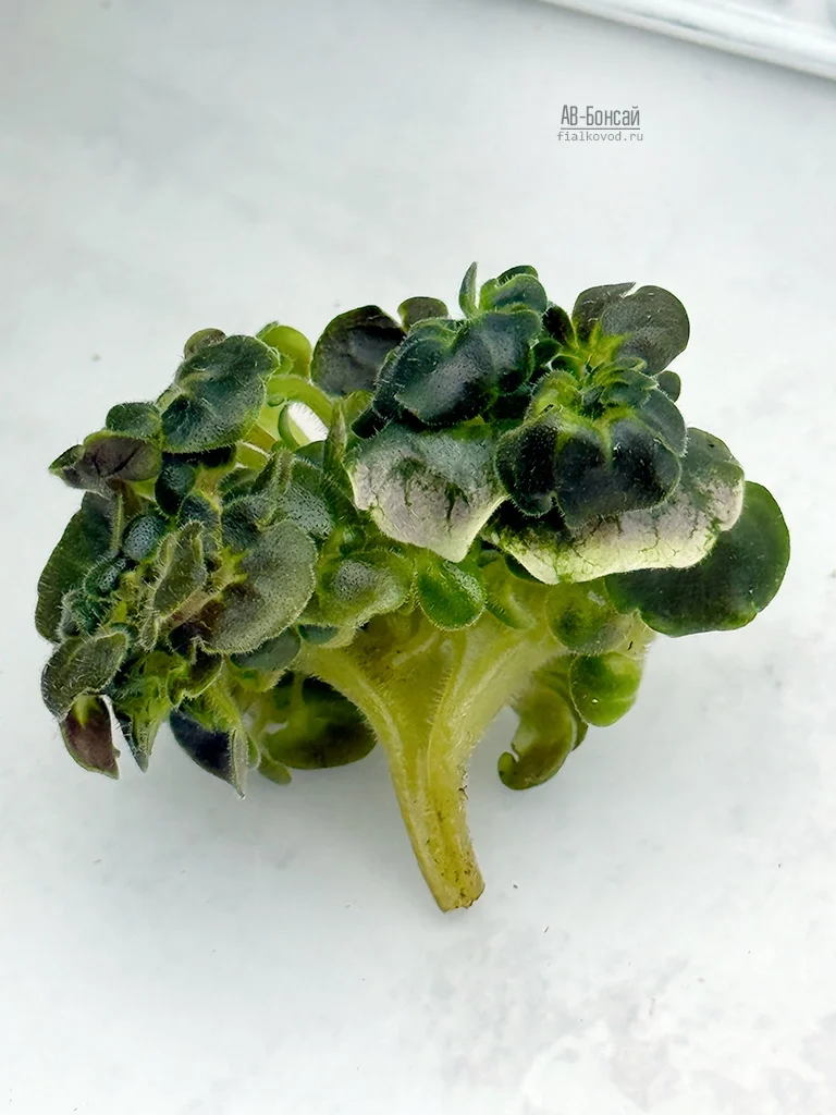 Субботние рабочие моменты