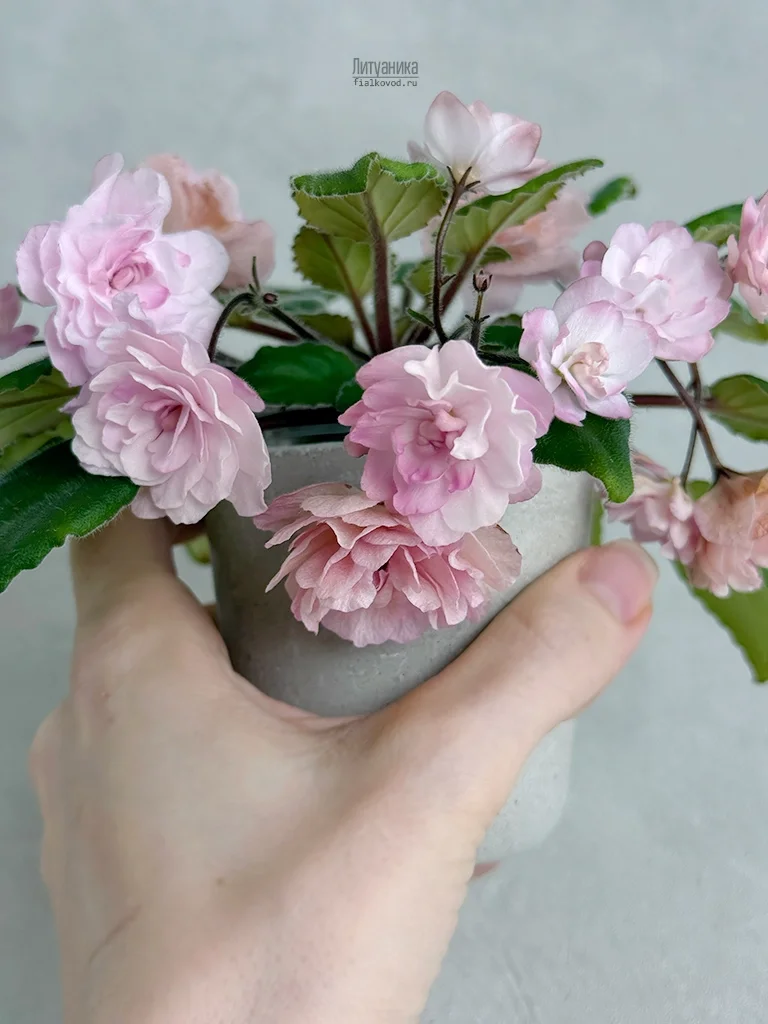 Литуаника продается