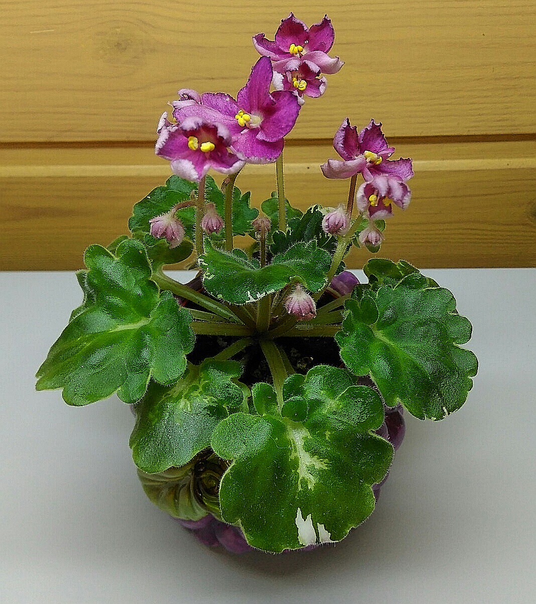 Photo 1