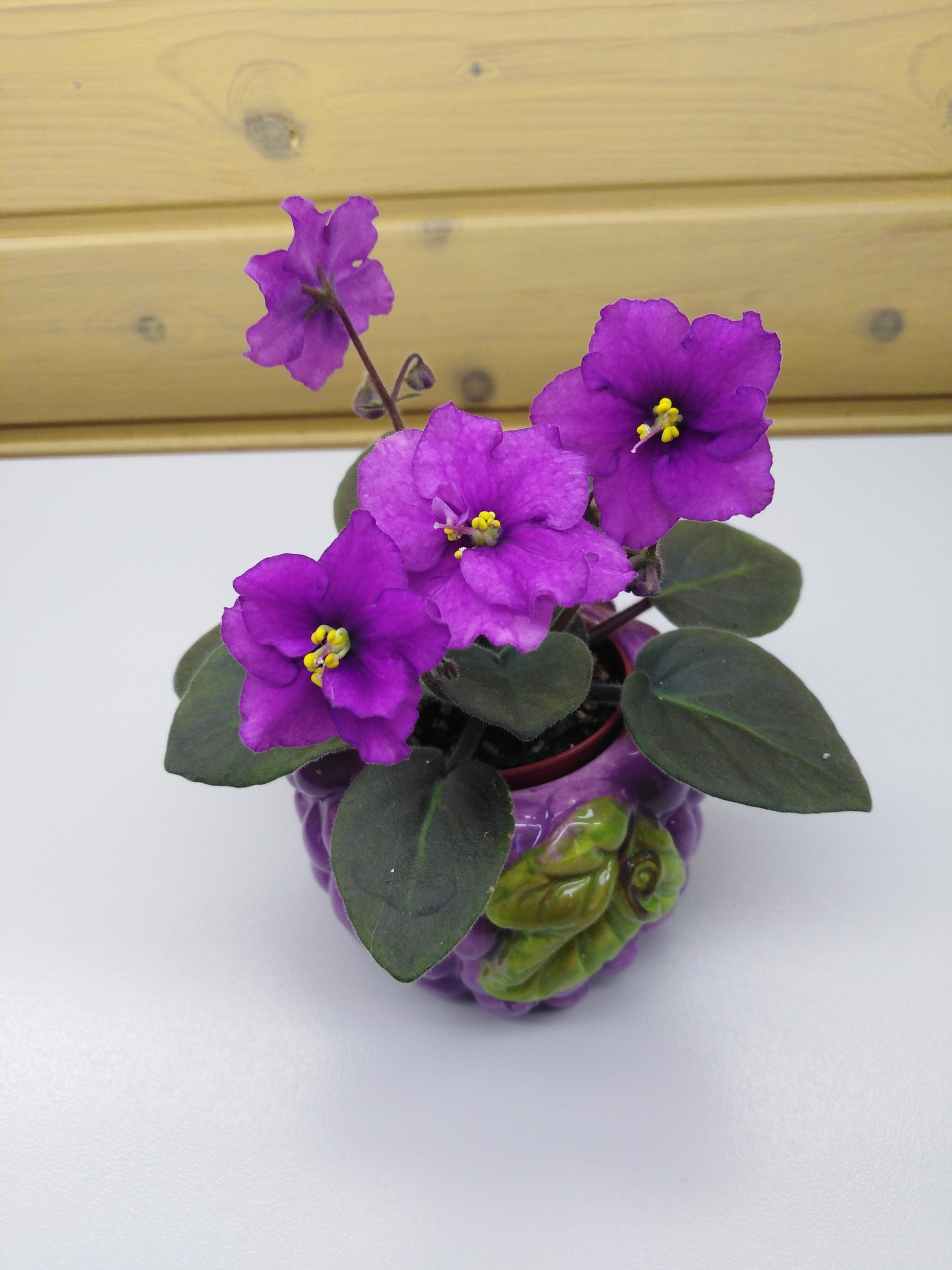 Photo 1