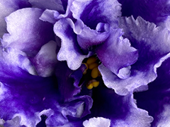 photo_nor for С-Тучка Небесная (23-48)