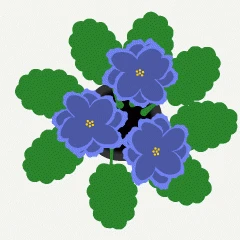 49062.gif
