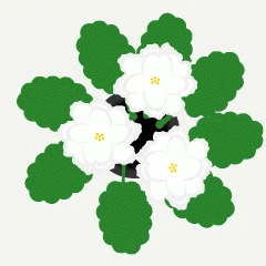 53338.gif
