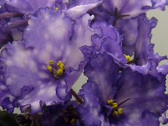 photo_nor for Storm's Eye