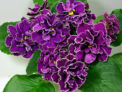 photo_nor for ЕК-Магия Любви
