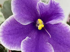 photo_nor for С-Ночь у Реки (22-332)