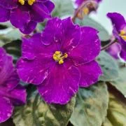 photo_nor for НК-Змiна Настрою