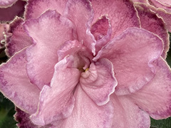 photo_nor for С-Очевидное-невероятное (22-102)