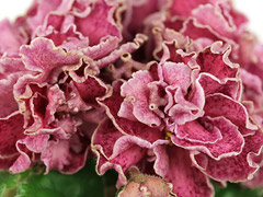 photo_nor for АВ-Иероглиф (795-3)