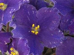 photo_nor for Dn-Ночной Донецк