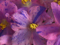 photo_nor for Ko's Nightfall