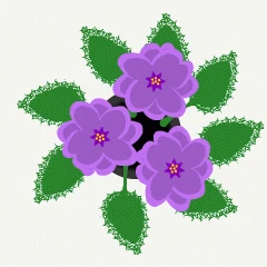 37134.gif