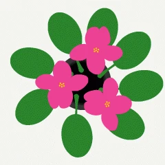 120044.gif