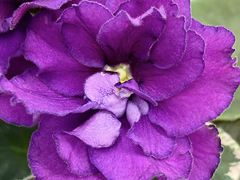 photo_nor for С-Южный Вечер (21-345)