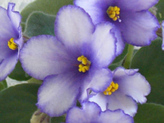 photo_nor for БР-Арктика