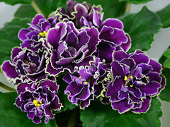 photo_nor for ЛЕ-Шато Брион
