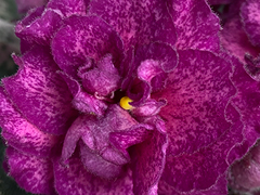 photo_nor for С-Черешневый Лес (23-65)
