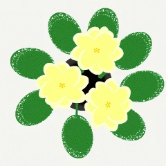 44219.gif