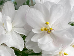 photo_nor for АВ-Молочные Реки (796-7)
