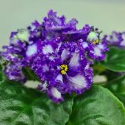 photo_nor for БР-Авантюрист