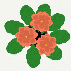 43166.gif
