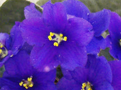 photo_nor for ЕК-Романтика