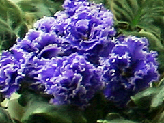 photo_nor for РС-Бездна