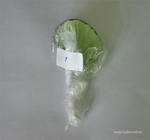 mk-10-listov-pochta-list1.jpg