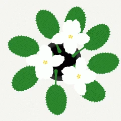 75482.gif