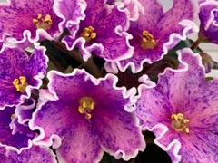 photo_nor for ЕК-Алмазы Якутии