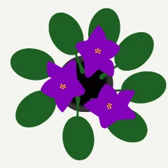 51104.gif