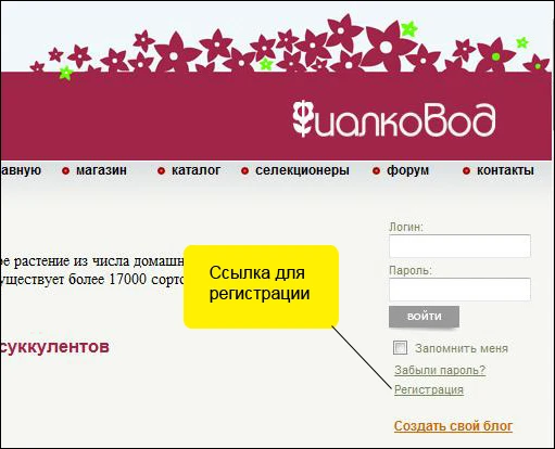 Ссылка для регистрации