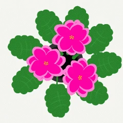 36624.gif