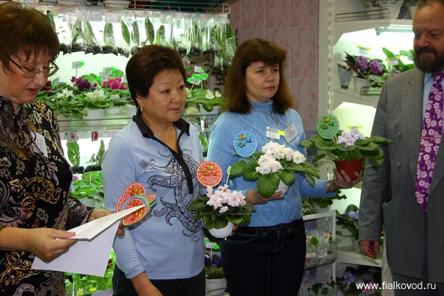 коршунова