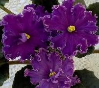 photo_nor for ВаТ-Готическая Элегантность