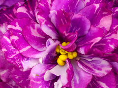 photo_nor for АВ-Колыбельная Дождя и Звезд (872-412)