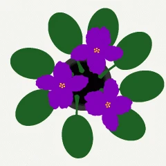 45203.gif