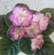 photo_nor for ЛиК-Модная Весна 