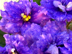 photo_nor for ВаТ-Кассиопея