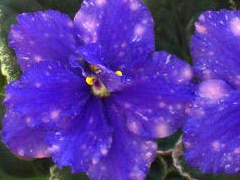 photo_nor for ВаТ-Второе Измерение