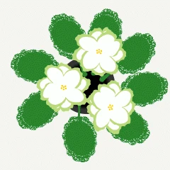 40337.gif