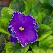 photo_nor for НГ-Утоли Мои Печали