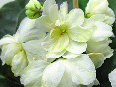 photo_nor for Warm Sunshine