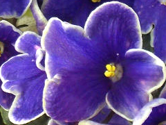 photo_nor for БО-Жаворонки