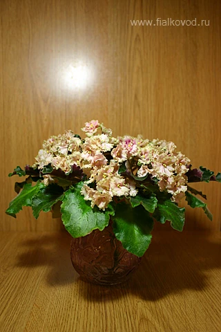 emkost_dlya_fitilya-dopfoto.jpg