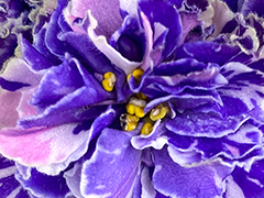 photo_nor for АВ-Целая Вселенная (883-51)
