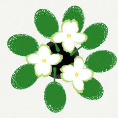 40904.gif