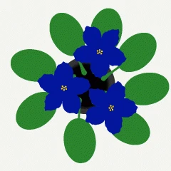 53915.gif